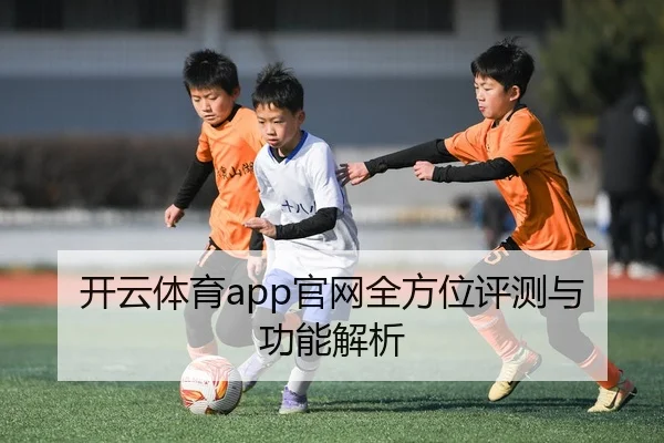 开云体育app官网全方位评测与功能解析